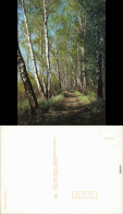 Ansichtskarte  Weg Gesäumt Von Birken, Stimmungsbild 1989 - Zonder Classificatie