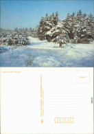 Ansichtskarte  Schneelandschaft Mit Nadelbäumen, Winterstimmung 1987 - Ohne Zuordnung