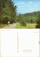 Ansichtskarte  Wanderer Am Waldesrand, Stimmungsbild 1987 - Unclassified