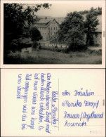 Ansichtskarte  Häuser Bäume Am Berghang 1950 - Te Identificeren