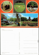 Ansichtskarte Dessau-Dessau-Roßlau Lehrpark Für Tier- Und Pflanzenkunde 1982 - Sonstige & Ohne Zuordnung