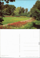 Ansichtskarte  Grüner Park Mit Blumen 1982 - Zonder Classificatie