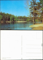 Ansichtskarte  Waldsee 1981 - Zonder Classificatie