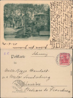 Ansichtskarte  Parkanlage 1904 - Zu Identifizieren