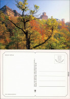 Ansichtskarte Eisenach Blick Durch Die Bäume Auf Die Wartburg 2000 - Eisenach