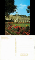 Ansichtskarte Potsdam Schloss Sanssouci: Sommerbepflanzung Im Parterre 1989 - Potsdam