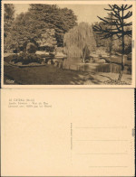 Le Cateau-Cambrésis Jardin Félelon - Vue Du Bas/Parkanlage Fontäne 1928 - Other & Unclassified