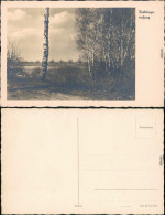 Ansichtskarte  Stimmungsbild: Frühling 1930  - Andere & Zonder Classificatie