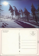 Ansichtskarte  Winter-Ansichtskarten (Schnee/Eis) / Stimmungsbild 1995 - Ohne Zuordnung