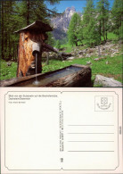 Ansichtskarte Dachstein Sulzenalm, Bischofsmütze 1995 - Otros & Sin Clasificación
