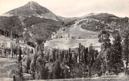 15-LE PUY GRIOU-N°351-A/0355 - Sonstige & Ohne Zuordnung