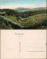 Ansichtskarte Braunlage Achtermannshöhe 1910 - Braunlage