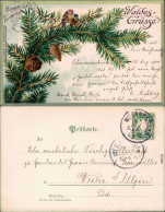 Ansichtskarte Grusskarten: Waldes Grüsse Tannenzweig Mit Vögeln Darauf 1900 - Autres & Non Classés