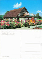 Ansichtskarte Seehof Urlaubs- Und Naherholungszentrum 1974 - Other & Unclassified