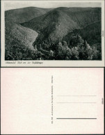 Ansichtskarte Schwarzburg Schwarzatal - Blick Von Der Teufelstreppe 1932 - Autres & Non Classés