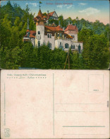 Ansichtskarte Rathen Diakonissenhaus Zion 1918 - Rathen