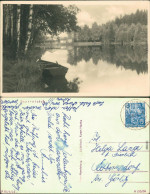 Ansichtskarte Dorfhain Seerenteichbaude Mit Boot Am Ufer 1955 - Sonstige & Ohne Zuordnung