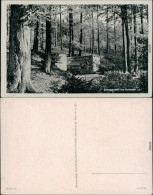 Ansichtskarte Eibau-Kottmar Jelow / Jiwow Spreequelle 1954 - Sonstige & Ohne Zuordnung