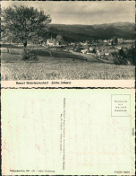 Hinterhermsdorf-Sebnitz Panorama-Ansicht Mit Kirche Im Zentrum 1955 - Hinterhermsdorf