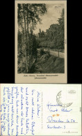 Ansichtskarte Rosenthal-Rosenthal-Bielatal Johanniswacht 1954 - Rosenthal-Bielatal