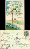  Glückwunsch/Grußkarten: Geburtstag - Blühender Baum 1907 Prägekarte - Verjaardag