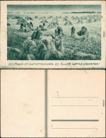 Ansichtskarte  Werbekarte - Deutsche Stickstoffdünger 1926  - Publicidad