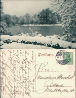 Ansichtskarte Dresden Winterbild Aus Dem Großen Garten 1913 - Dresden