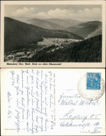 Ansichtskarte Sitzendorf Oberes Schwarzatal 1956 - Autres & Non Classés