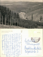 Ansichtskarte Tambach-Dietharz Partie Am Mittelwasser 1967 - Tambach-Dietharz