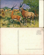 Ansichtskarte  Künstlerkarte V. KWA - Gazellen 1909 - Pintura & Cuadros