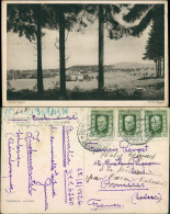 Postcard Reihwiesen-Zuckmantel Zlaté Hory Blick Auf Die Stadt 1926 - Tschechische Republik
