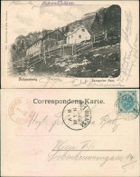 Ansichtskarte Reichenau An Der Rax Baumgartner Haus 1901 - Autres & Non Classés