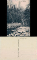 Ansichtskarte Hohnstein (Sächs. Schweiz) Polenztalwächter 1913 - Hohnstein (Saechs. Schweiz)