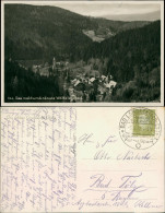 Postcard Wölfelsgrund Międzygórze Blick Auf Den Ort 1932  - Schlesien