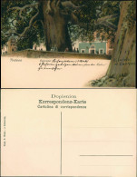 Trsteno Cannosa Canait-Ragusa Dubrovnik Künstlerkarte - Bäume - Cannosa 1909  - Kroatië
