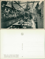 Postkaart Ravels Open-lucht-school, Wintergarten 1929 - Otros & Sin Clasificación