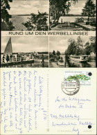 Ansichtskarte Schorfheide Rund Um Den Werbellinsee, Fahrgastschiffe 1975 - Other & Unclassified