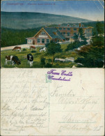 Postcard Harrachsdorf Harrachov Wosseckerbaude (Vosecká Bouda) 1917 - Tschechische Republik