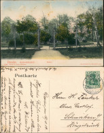 Ansichtskarte Äußere Neustadt-Dresden Garnisionslazarett Parktor 1909 - Dresden