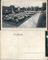 Ansichtskarte Dresden Gartenbau-Ausstellung Blumenparterre III 1907 - Dresden