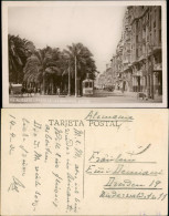 Postales Alicante Paseo De Los Martires 1927 - Altri & Non Classificati