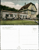 Ansichtskarte Bad Grund (Harz) Hotel - Pension ,,Schönhofsblick" 1960 - Bad Grund