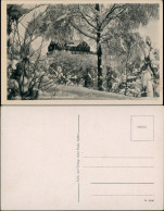 Ansichtskarte Seiffen (Erzgebirge) Panorama-Blick Auf Nußknacker-Baude 1940 - Seiffen
