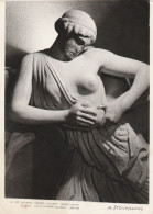 AD522 Museum Of Olympia - Lapith Woman - West Pediment Of The Temple Of Zeus - Scultura Sculpture - Skulpturen