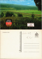 Ansichtskarte  Zonengrenze Im Harz Deutsch-Deutsche Grenze BRD-DDR 1975 - Sin Clasificación