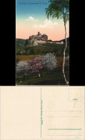 Schreckenstein (Elbe)-Aussig Střekov (Laben) Ústí Nad Labem   Burg  1915 - Tschechische Republik