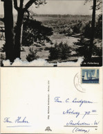 Postkaart .Niederlande Landschaft Bei Holten Holterberg 1960 - Andere & Zonder Classificatie