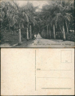 Postcard Sabang Weg Naar Het ,,Nias Kampement" Aceh Indonesia 1911 - Indonesia