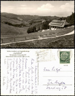 Freiburg Im Breisgau Schüler-Landheim Und Jugendherberge „Luginsland" 1959 - Freiburg I. Br.