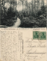 Ansichtskarte Brunshaupten-Kühlungsborn Partie Am Helenensee 1919 - Kuehlungsborn